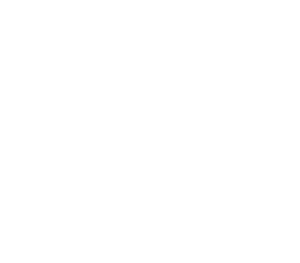 natulique logo